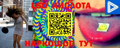 прущие грибы Коммунар