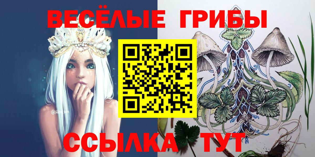 Галлюциногенные грибы GOLDEN TEACHER Котовск